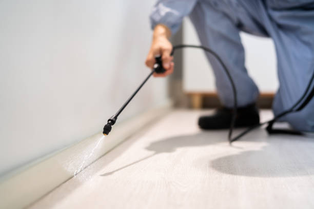 Licensed Pest Control service in Greenville, RI - Show Me Pest Control
