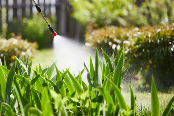 Tamper-Resistant Bait Stations for Rodents in Greenville