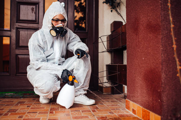 Attic and Crawl Space Rodent Treatment in Greenville